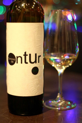 Dominio de Ontur Verdejo