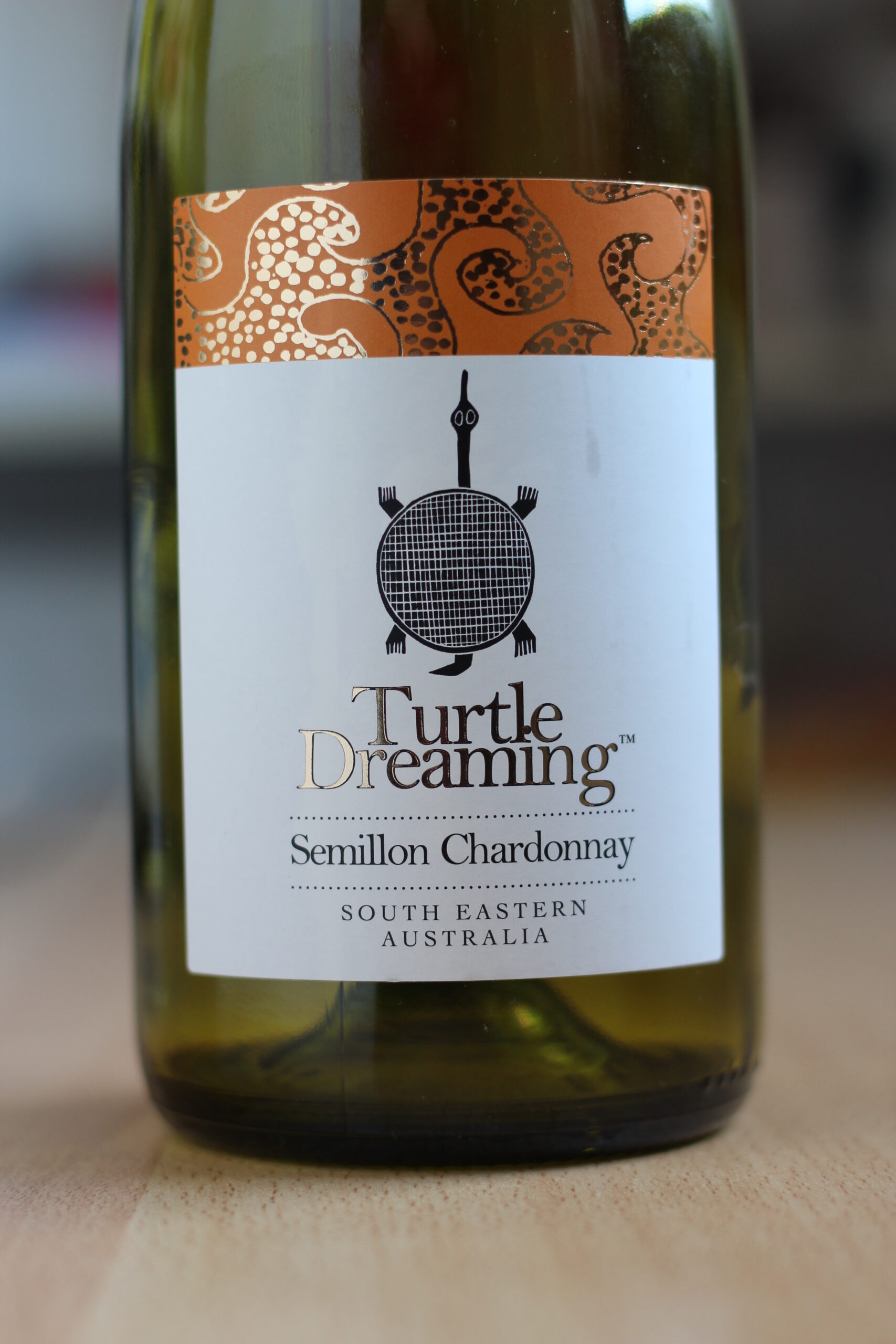 Turtle Dreaming