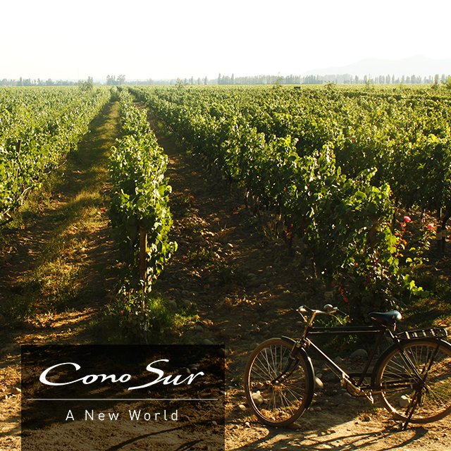 conosur_bike