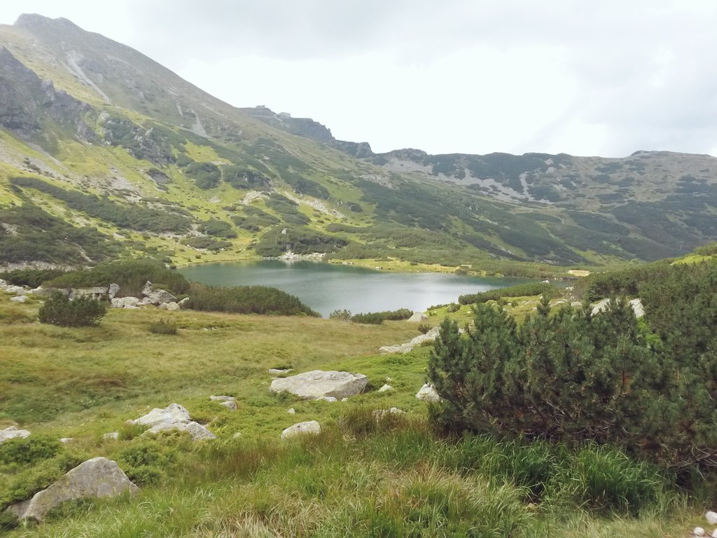 tatry